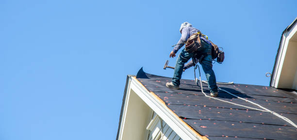 Best New Roof Installation  in Wallis, TX